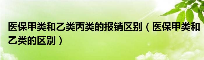 医保甲类和乙类丙类的报销区别（医保甲类和乙类的区别）