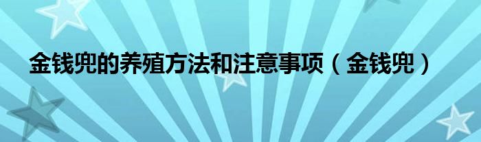 金钱兜的养殖方法和注意事项（金钱兜）