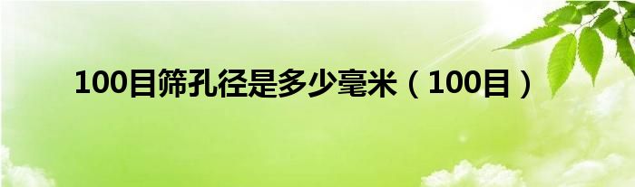 100目筛孔径是多少毫米（100目）