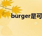 burger是可数还是不可数（burger）