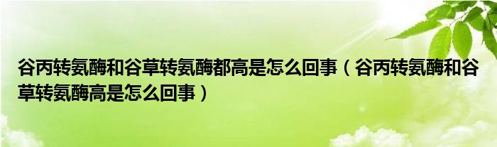 谷丙转氨酶和谷草转氨酶都高是怎么回事（谷丙转氨酶和谷草转氨酶高是怎么回事）