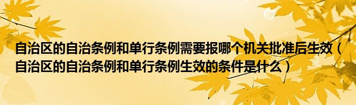 自治区的自治条例和单行条例需要报哪个机关批准后生效（自治区的自治条例和单行条例生效的条件是什么）