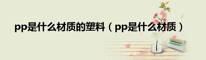 pp是什么材质的塑料（pp是什么材质）