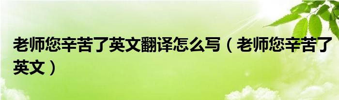 老师您辛苦了英文翻译怎么写（老师您辛苦了英文）