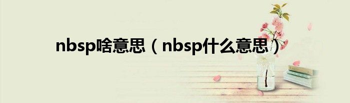 nbsp啥意思（nbsp什么意思）