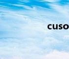 cuso4.5h2o（cuso4）