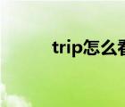 trip怎么看油耗（trip什么意思）