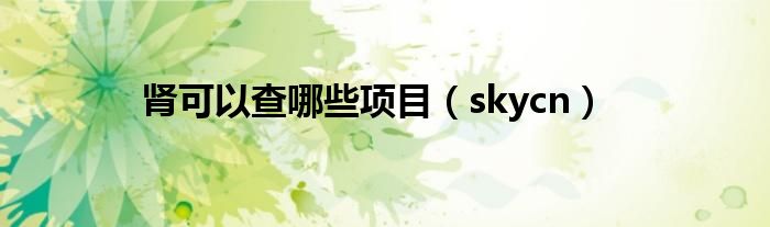 肾可以查哪些项目（skycn）