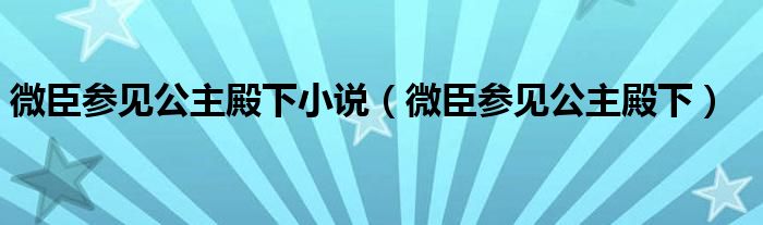 微臣参见公主殿下小说（微臣参见公主殿下）