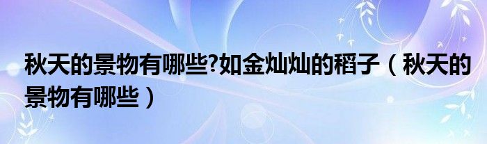 秋天的景物有哪些?如金灿灿的稻子（秋天的景物有哪些）