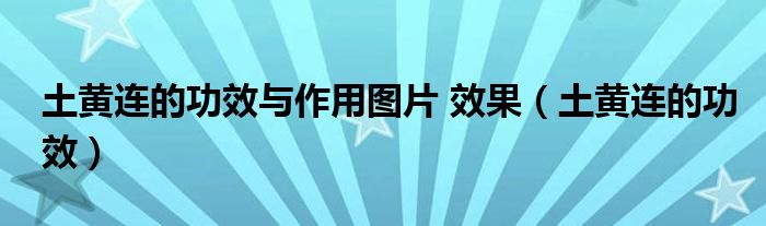 土黄连的功效与作用图片 效果（土黄连的功效）