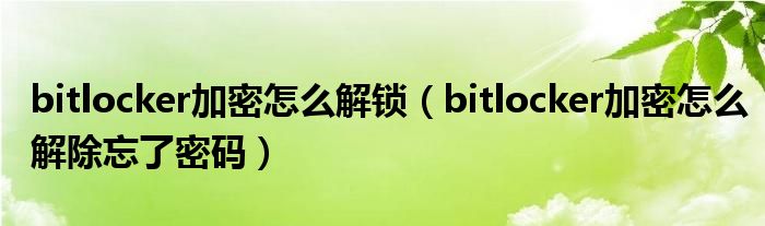 bitlocker加密怎么解锁（bitlocker加密怎么解除忘了密码）