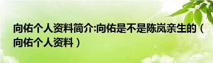 向佑个人资料简介:向佑是不是陈岚亲生的（向佑个人资料）