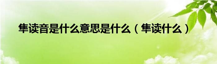 隼读音是什么意思是什么（隼读什么）