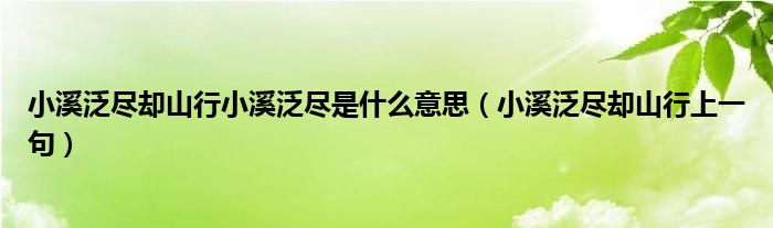 小溪泛尽却山行小溪泛尽是什么意思（小溪泛尽却山行上一句）