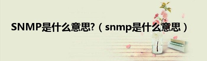 SNMP是什么意思?（snmp是什么意思）