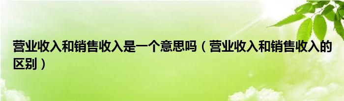 营业收入和销售收入是一个意思吗（营业收入和销售收入的区别）