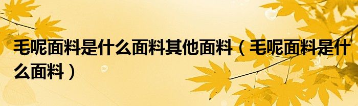 毛呢面料是什么面料其他面料（毛呢面料是什么面料）