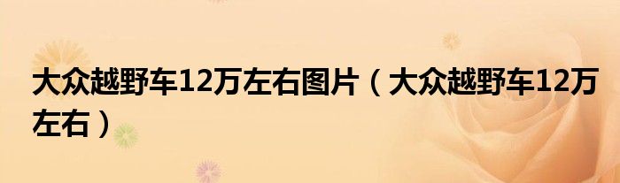 大众越野车12万左右图片（大众越野车12万左右）