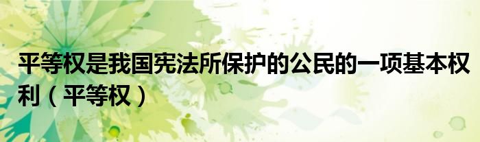 平等权是我国宪法所保护的公民的一项基本权利（平等权）