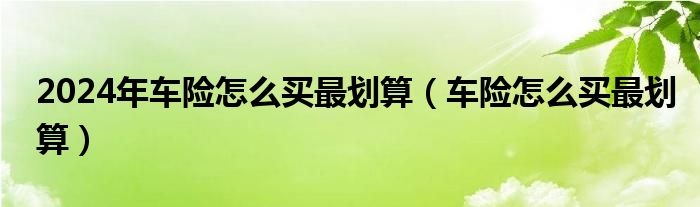 2024年车险怎么买最划算（车险怎么买最划算）