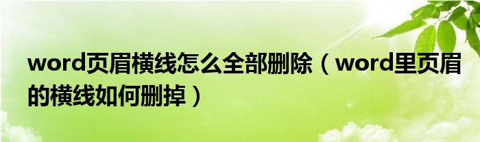 word页眉横线怎么全部删除（word里页眉的横线如何删掉）