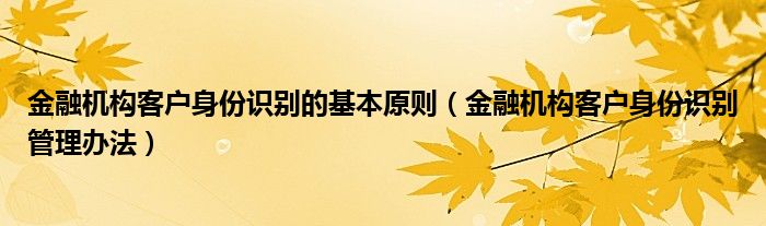 金融机构客户身份识别的基本原则（金融机构客户身份识别管理办法）