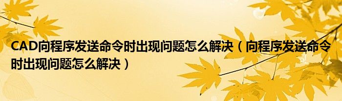 CAD向程序发送命令时出现问题怎么解决（向程序发送命令时出现问题怎么解决）