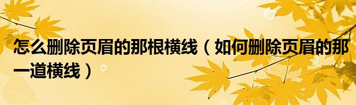 怎么删除页眉的那根横线（如何删除页眉的那一道横线）