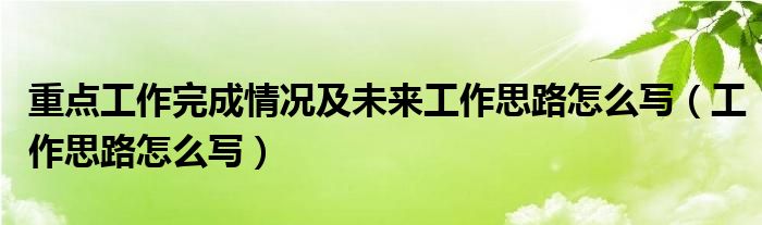 重点工作完成情况及未来工作思路怎么写（工作思路怎么写）