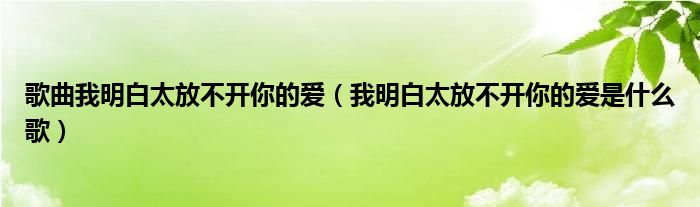 歌曲我明白太放不开你的爱（我明白太放不开你的爱是什么歌）