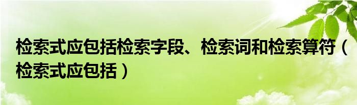 检索式应包括检索字段、检索词和检索算符（检索式应包括）