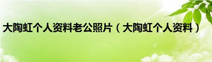 大陶虹个人资料老公照片（大陶虹个人资料）