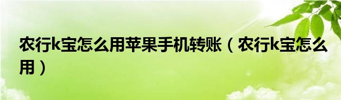 农行k宝怎么用苹果手机转账（农行k宝怎么用）