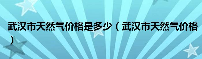 武汉市天然气价格是多少（武汉市天然气价格）