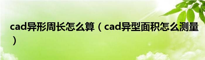 cad异形周长怎么算（cad异型面积怎么测量）