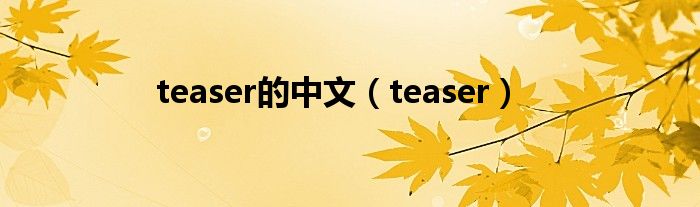 teaser的中文（teaser）