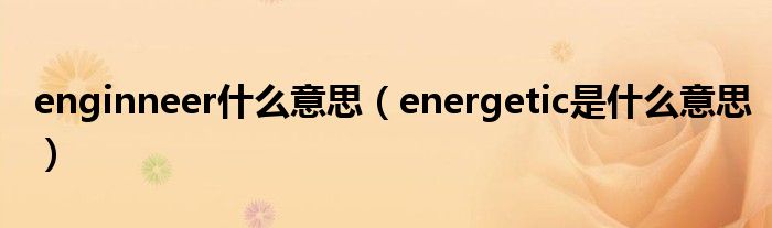 enginneer什么意思（energetic是什么意思）