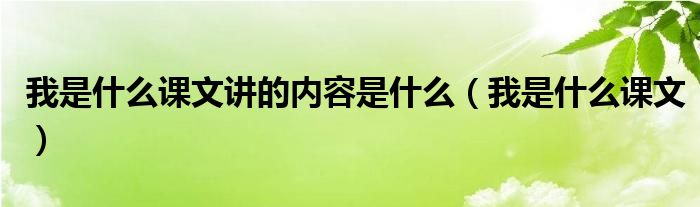 我是什么课文讲的内容是什么（我是什么课文）