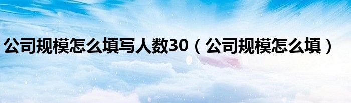 公司规模怎么填写人数30（公司规模怎么填）