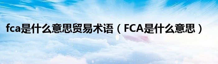 fca是什么意思贸易术语（FCA是什么意思）