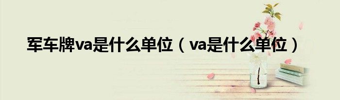 军车牌va是什么单位（va是什么单位）