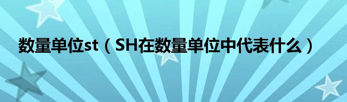 数量单位st（SH在数量单位中代表什么）