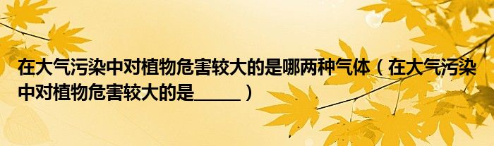 在大气污染中对植物危害较大的是哪两种气体（在大气污染中对植物危害较大的是______）