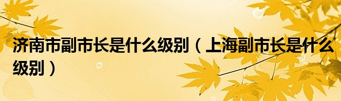 济南市副市长是什么级别（上海副市长是什么级别）