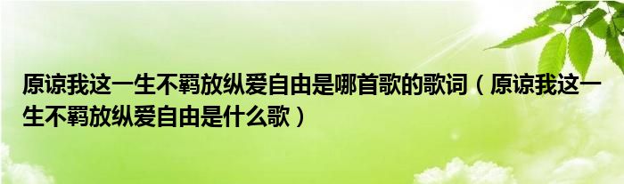 原谅我这一生不羁放纵爱自由是哪首歌的歌词（原谅我这一生不羁放纵爱自由是什么歌）