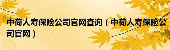 中荷人寿保险公司官网查询（中荷人寿保险公司官网）