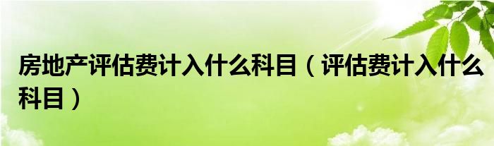 房地产评估费计入什么科目（评估费计入什么科目）