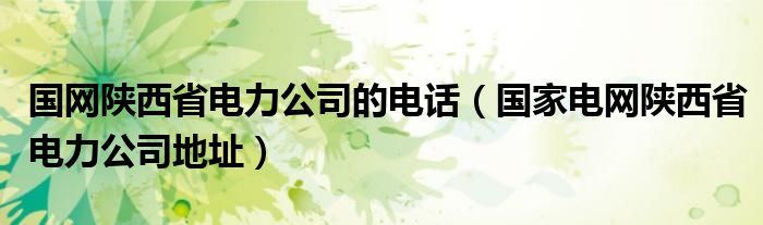 国网陕西省电力公司的电话（国家电网陕西省电力公司地址）