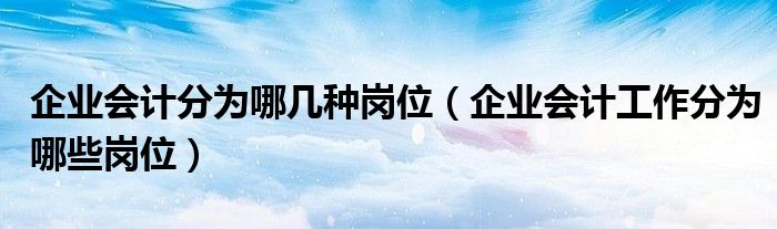 企业会计分为哪几种岗位（企业会计工作分为哪些岗位）